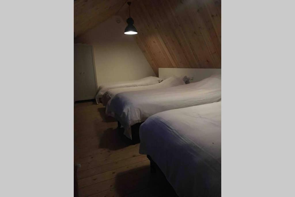 Ruim Appartement In Prachtige Fiets-Wandelomgeving Abcoude Ngoại thất bức ảnh